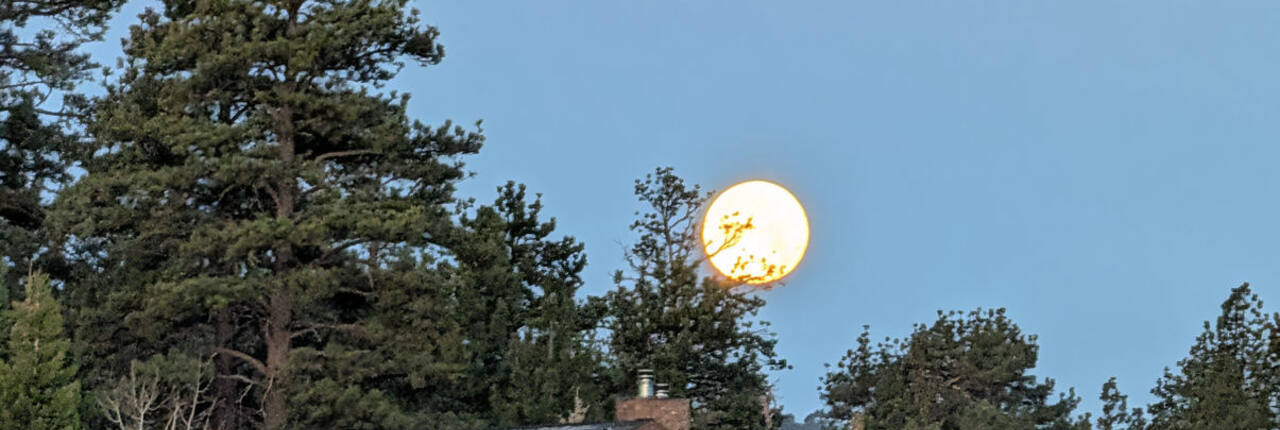 A full moon rising over the pines above Big Bear Valley at dusk