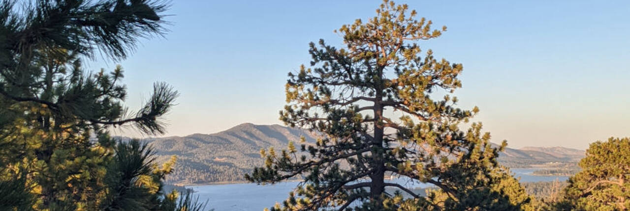 Pines framing Big Bear Lake and the ridgeline beyond on a clear evening